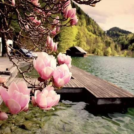 & Fuerberg 3* Sankt Gilgen